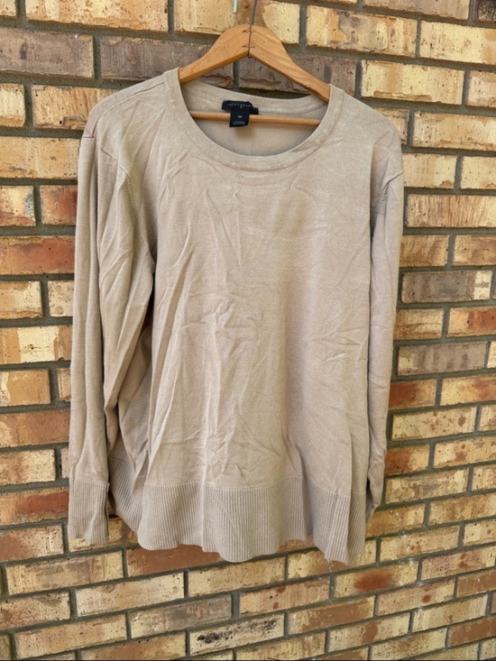 Investments Sweaters - Investments Neutral Light Taupe Crewneck Sweater